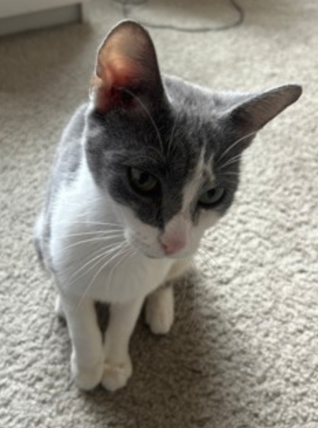 Screenshot 2025 12 07 at 12.45.13 PM